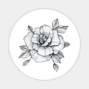 Roses Magnet